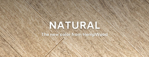 HempWood Gazette: February 2025