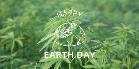 HempWood® Gazette April 2023