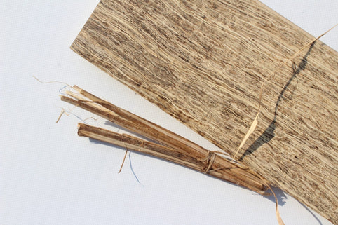 HempWood® Gazette October 2021