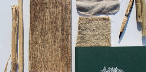 HempWood® Gazette August 2021