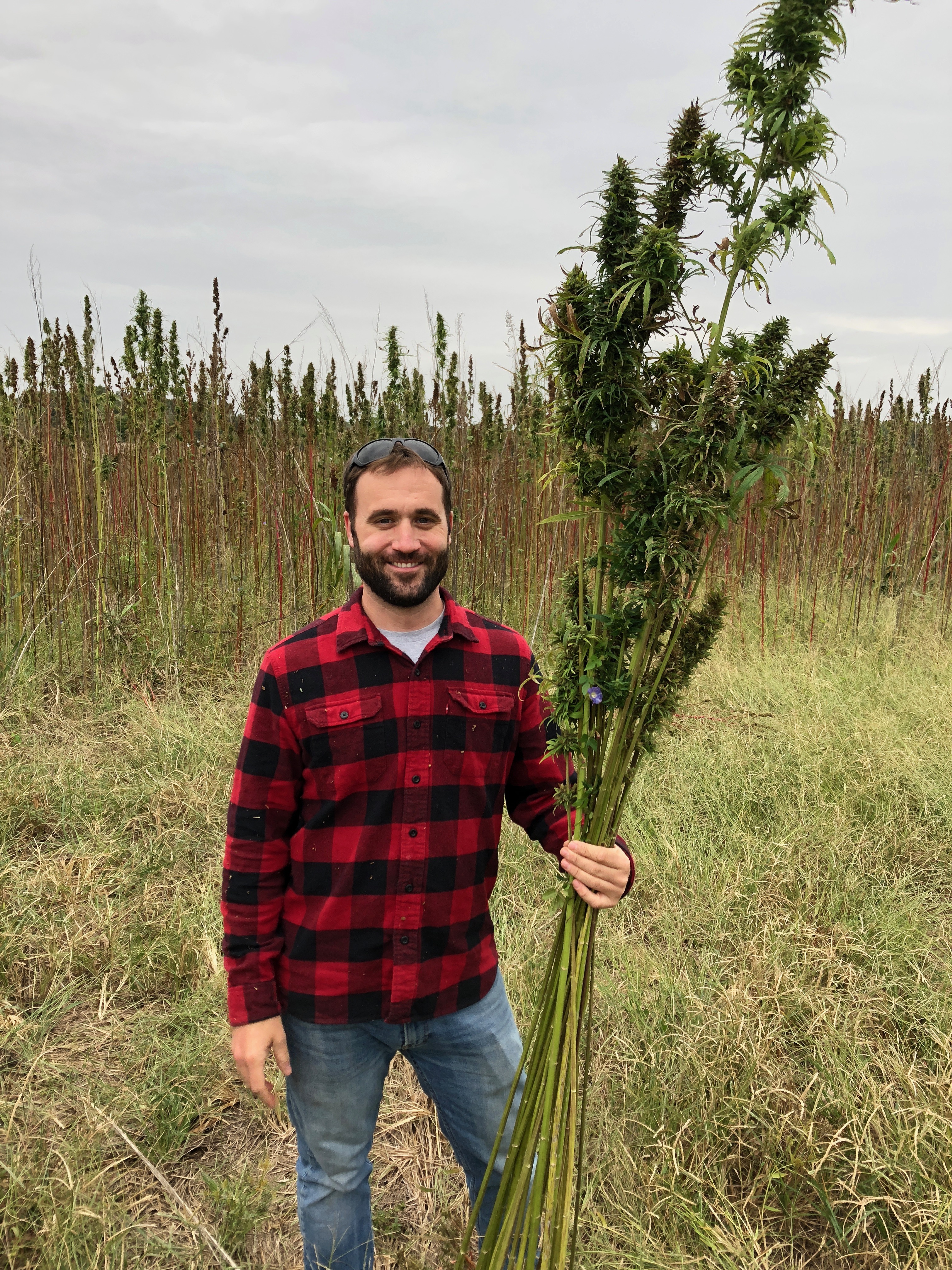 Hemp Farmer