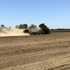 Hemp growing season with HempWood